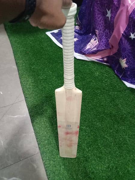 English velow hard ball cricket light weight bat 5