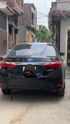 Toyota Corolla XLI 2014