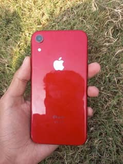 iPhone XR factory unlock condition 10/8 77 health  64 gb