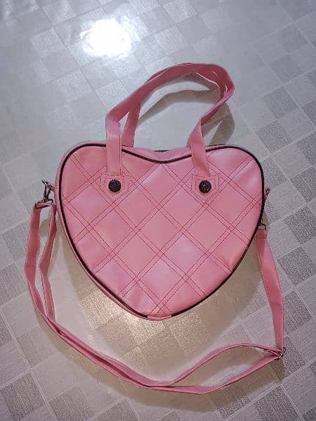 Ladies handbag 1