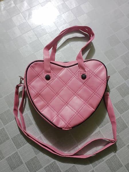 Ladies handbag 2