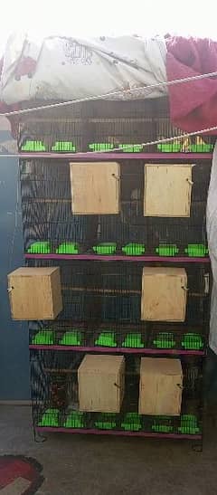 12 portion master cage