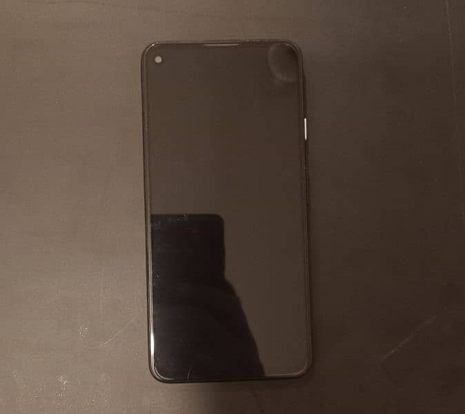 Pixel 4a 5g Panel Dead 1