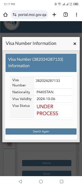 Qatar freelance visa available for all nationality 0