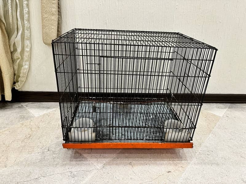 Birds and animale cages 1