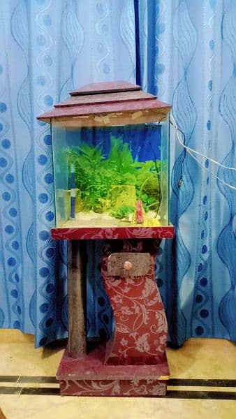 Fish aquarium 1