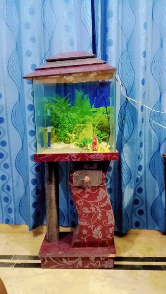 Fish aquarium 2