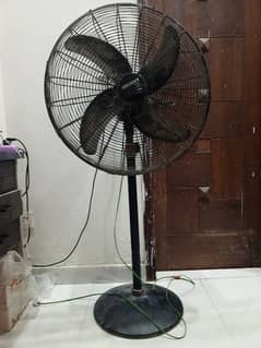 oreint pedestal fan