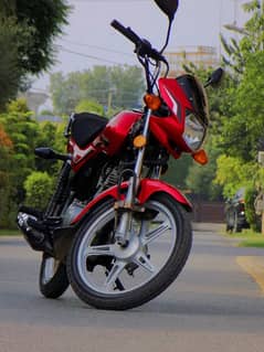 SUZUKI GD110S