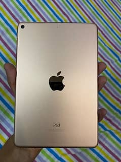 Ipad mini 5 10/10