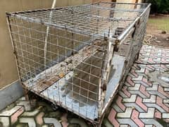 Dog cage 6 x 3 feet