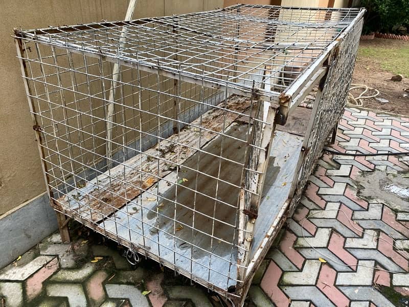 Dog cage 6 x 3 feet 0