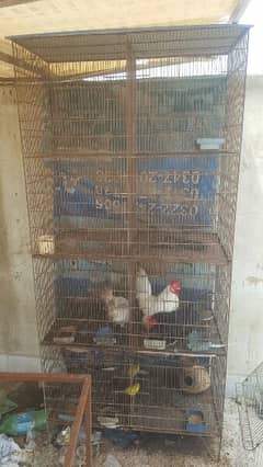 8 Big portion iron cage for sale