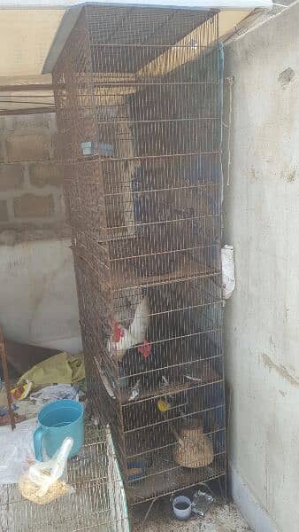 8 Big portion iron cage for sale 1