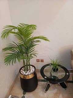 Areca Palm Artificial plant with Fiber pot