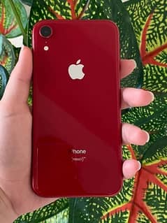 IPHONE XR 10/10 BRAND NEW CONDITION ALL OK NON PTA