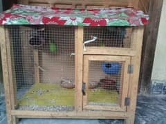 Parrots for sale with cage 0