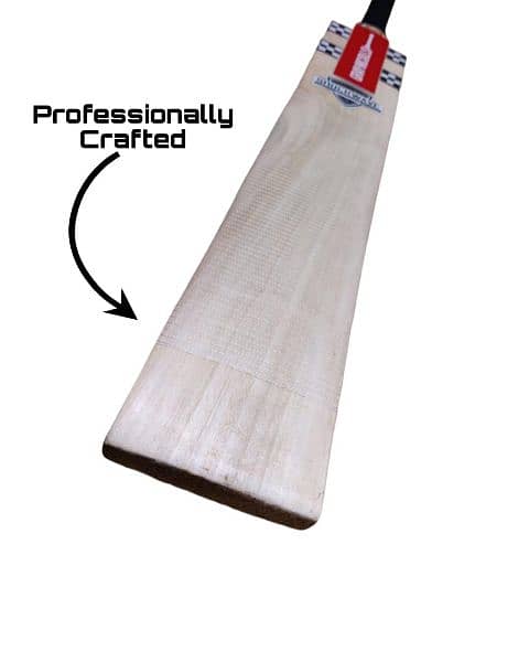 Hard Ball Cricket Bat 4