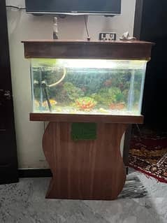 fish Aquarium for sale