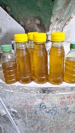 argula and mustard oil are available in whole sale price