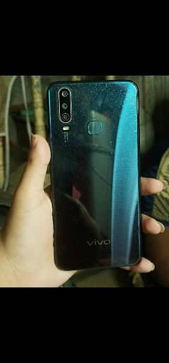 vivo