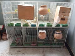 birds pinjra for sale