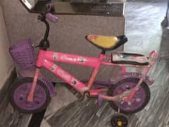 barbie cycle