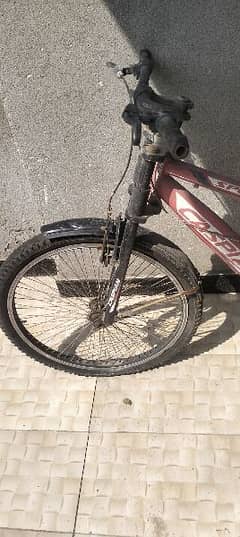 cycle for sale