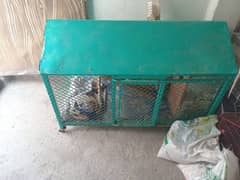 High-Quality Metal Cage for Birds & Poultry - Movable with Tires