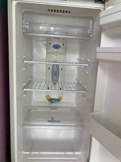 LG full size fridge