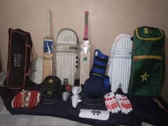 Hard ball cricket kit