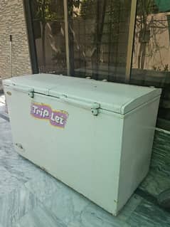 Waves Deep Freezer with Double Door