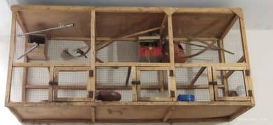 wooden cage finches for sale