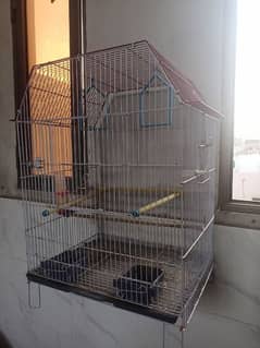 birds cages