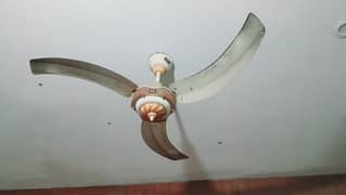 GFC Ceiling Fan