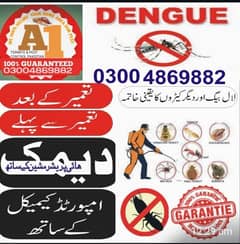 termit control/pest control/fumigation/dengue spary