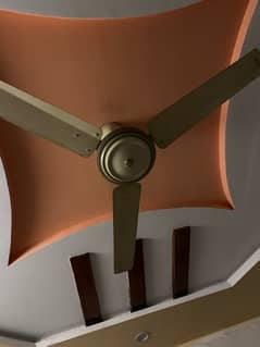 Used ceiling Fan