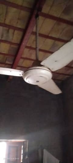 Ceiling Fan (AC)