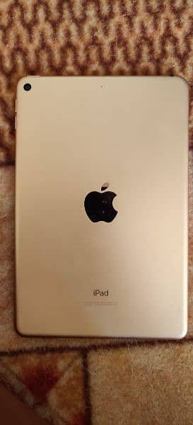 Ipad mini 5 1