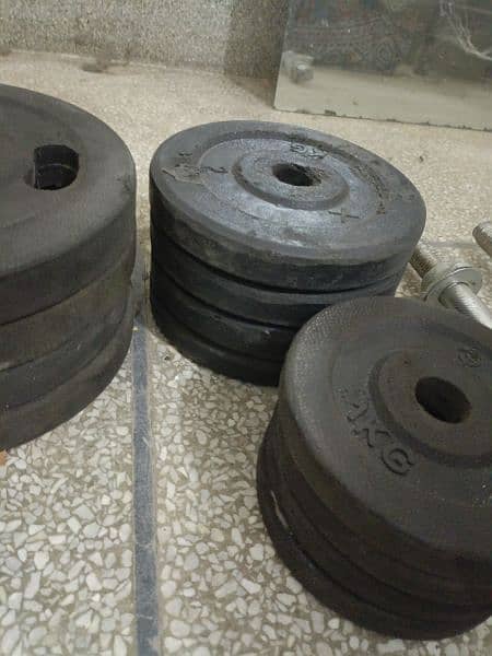 Dumbells and plates 7