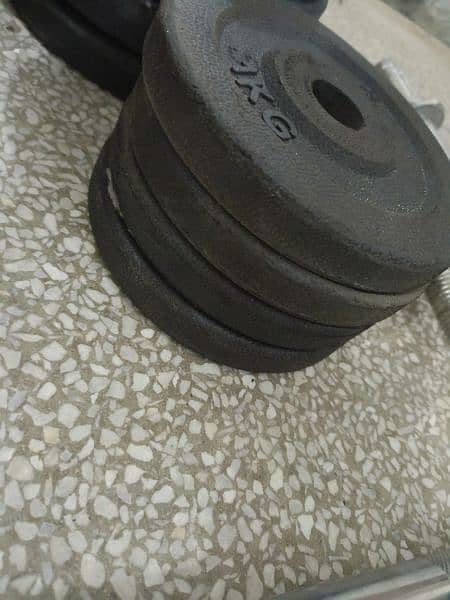 Dumbells and plates 8