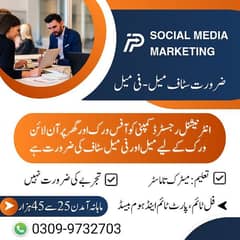 Male and female staff required for online work 0