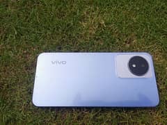 vivo