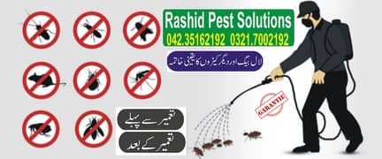 Termite Control/Pest Control/Deemak Control/Fumigation/Dengue Spray