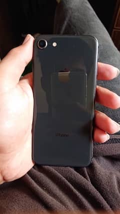 Iphone 8 pta approved