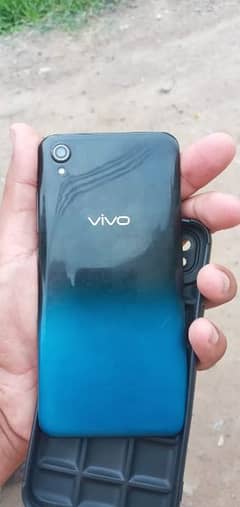 vivo