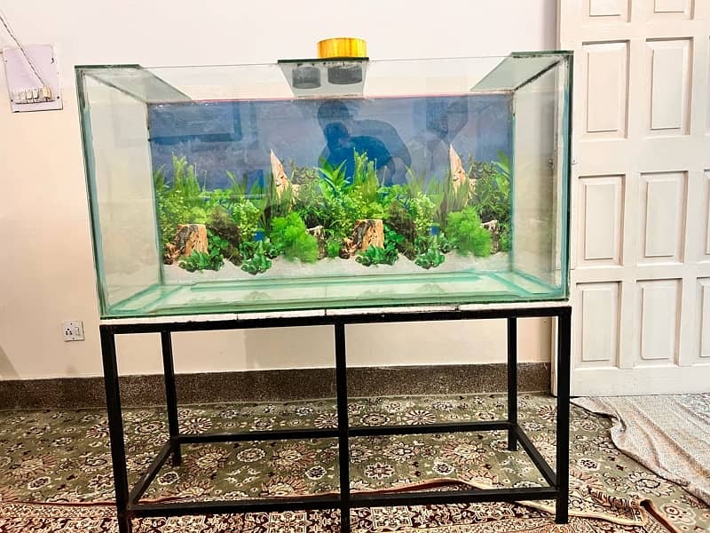 Aquarium for sale 4