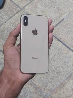 iPhone xs