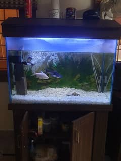 Aquarium for sale