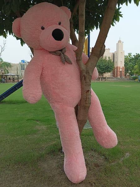 Big Size Teddy Bear, Available For Sale 03269413521 2